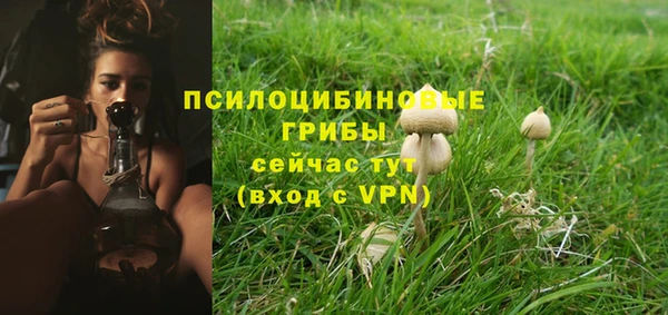 альфа пвп VHQ Белокуриха