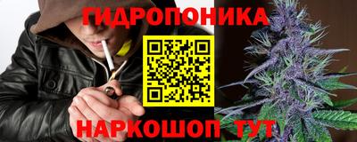 mdma Аргун