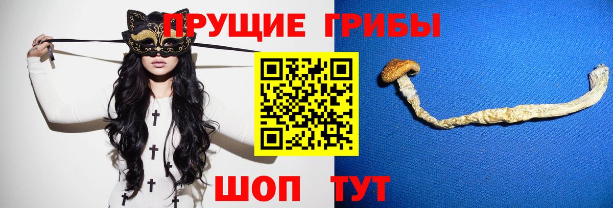 Псилоцибиновые грибы мухоморы  Псилоцибиновые грибы ЛСД  Видное  Вход с VPN 